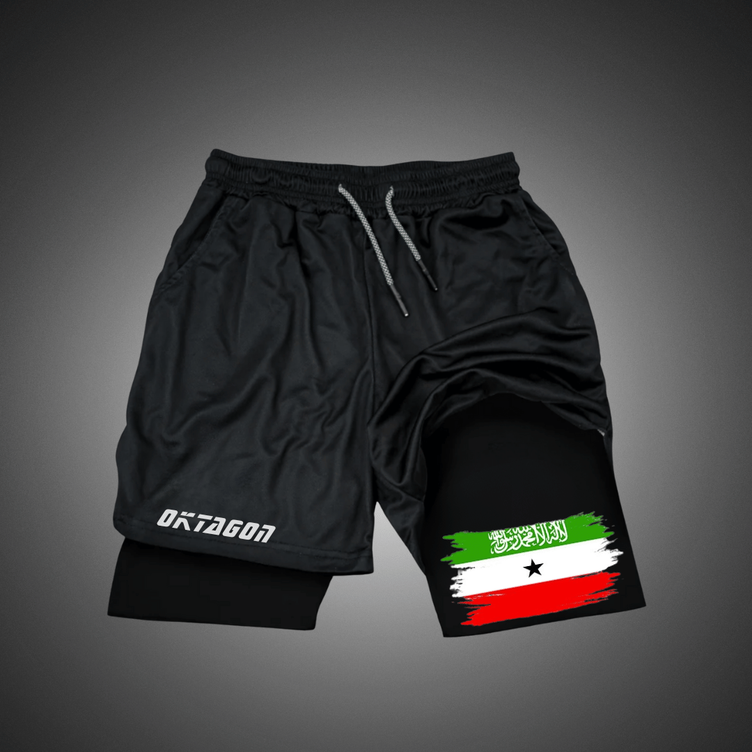 Ensemble Somaliland Performance